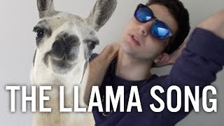 THE LLAMA SONG [upl. by Sherill]