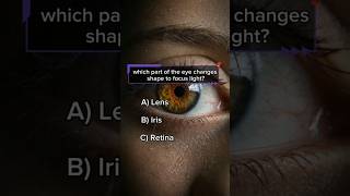 Anatomy Quiz shortsfeed ytshorts quiztime youtubeshorts anatomyquiz youtubesearch shortsbeta [upl. by Nylyak821]