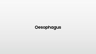 How to pronounce Oesophagus [upl. by Colt]