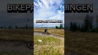 Bike Park Willingen macht Spaß 🤩 mtb bikelife ytshorts fypシ゚viral [upl. by Derwon]