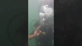 Scuba Dive in Goa goa holiday trip friends fun travel shorts youtubeshorts [upl. by Adnamor]