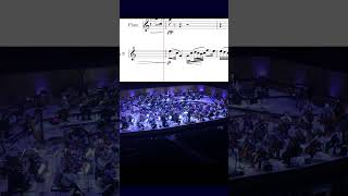 Dvořák Symphony No 7 – II Poco adagio Horn moment [upl. by Almeeta]