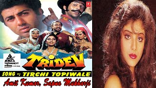 Tirchi Topi Wale Full HD Song  Tridev  Amit Kumar Sapna Mukherjee  Naseeruddin Shah Sonam [upl. by Nanice]