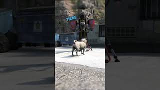 siempre casco gente gta gta5 humor gamer perros elterryboss [upl. by Mathia]