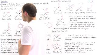 Nonpolar and Uncharged Polar Amino Acids [upl. by Aisinoid]