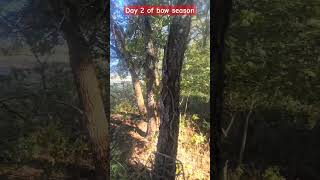 Day 2 of Bow season subscribe bowhunting bowhunter lonewolf mobilehunting treestand [upl. by Einnalem]