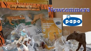 PAPO  Mega unboxing  tapir meerkats tiger lion elephant leopard foals dogs rodeo set [upl. by Katie]