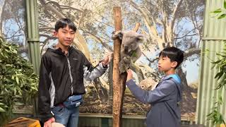 Featherdale Sydney Wildlife Park bonus footage [upl. by Enileoj39]