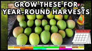 What Trees Should You Grow For YearRound Harvests [upl. by Airdnaxela]