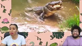 TierZoo Are Crocodiles OP ft Chavezz [upl. by Auhsohey]