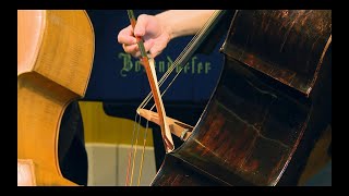 BottesiniBreinschmid Concerto Nr 2 in BMinor Dominik Wagner Georg Breinschmid mvt 2 [upl. by Wolram]