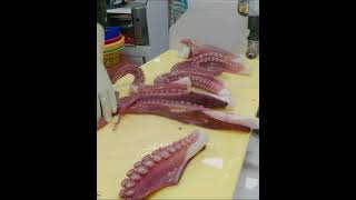 KOREAN STREET FOOD OCTOPUS DEVIL FISH KOREA SEAFOOD MARKET 180421 [upl. by Vernen]