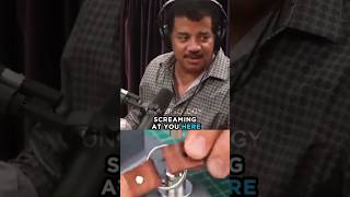 Why Neil deGrasse Tyson Scream At Joe Rogan 😡 shorts joerogan [upl. by Nareik]