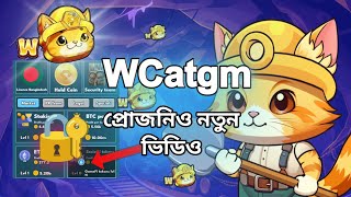 Cat gold Mainar Wcatgm Daily treasure Daily Cipher Tutorial [upl. by Berget]