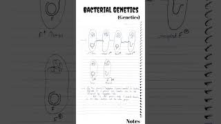 Bacterial Genetics  Bacterial Genetics CSIR NET  Conjugation Transduction csirnet genetics [upl. by Shaylynn]