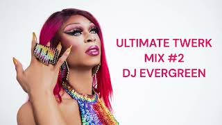 2024 TWERK MIX  DJ Evergreen [upl. by Aipotu]