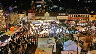 Dieburg Tradiční Martinsmarkt v partnerském městě Mladé Boleslavi [upl. by Alliehs]