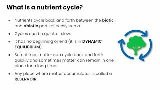 Introduction to Nutrient Cycles [upl. by Khudari]