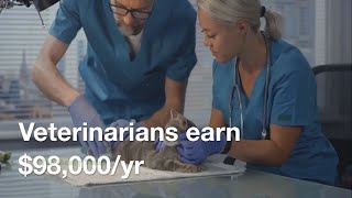 Veterinarian Salary 98000  Job Details amp Requirements [upl. by Neerihs]