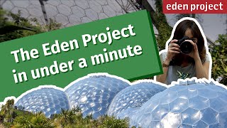 Exploring the Wonders of the Eden Project A Nature Lovers Guide to Cornwall [upl. by Assirol547]