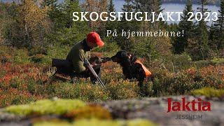 Skogsfugljakt med stående fuglehund 2023  del 22 [upl. by Bergren832]