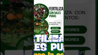 CONTROL DE FUSARIUM O SECADERA EN 30 DÍAS [upl. by Eberhart]