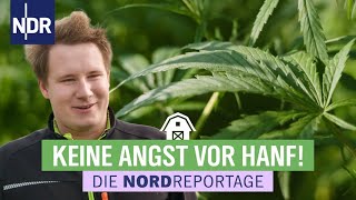 Hanf  Alte Nutzpflanze neu entdeckt  Die Nordreportage  NDR [upl. by Honniball951]