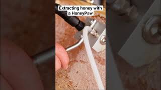 Extracting honey with a HoneyPaw How does it work [upl. by Sulihpoeht]