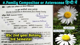 Family Compositae or Asteraceae in hindi BSc 2nd year Botany 3rd Semester [upl. by Anuqahs]