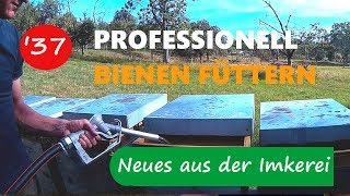 Bienenvölker professionell und richtig einfüttern  Neues aus der Imkerei37 [upl. by Inotna]