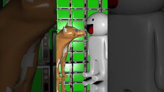 TheOdd1sOut Garbage television shorts theodd1sout odd1sout dog animation pets animals [upl. by Dnomder]