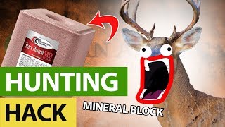 Never Buy A Mineral Block Again  Deer Season Hack [upl. by Nehtanhoj]