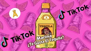 MARINA 💥 a ti te gusta el TEQUILA  🍺 a mi ME ENCANTA  ❣️ GUARACHA Aleteo Zapateo ✘ DjMorphius [upl. by Lorette]