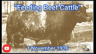 11011926  Radio Farm School  Feeding Beef Cattle [upl. by Ojillek]