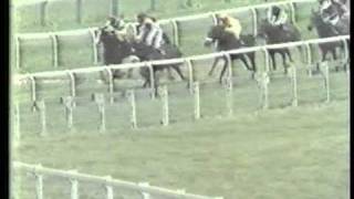 1981 Mackeson Gold Cup Handicap Chase [upl. by Haela]