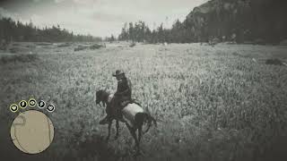 rdr2  Chinese Ring Neck Pheasant Location  Big Valley [upl. by Tamis296]