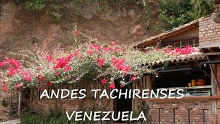 ANDES TACHIRENSES VENEZUELA HD [upl. by Ellenahs152]