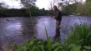 How To Catch Wild River Trout using the Upstream Worming Technique [upl. by Auerbach]