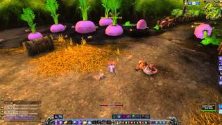 Rampaging Rodents Quest  World of Warcraft [upl. by Annaerda]