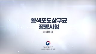 82 식품공전 미생물 시험법 quot황색포도상구균 정량시험시험영상quot [upl. by Puritan]