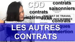 LES AUTRES TYPES DE CONTRATS EN FRANCE  vieprofessionnellefr [upl. by Alaunnoif]