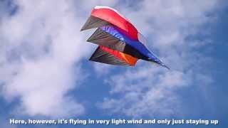 Sky Hook parafoil kite [upl. by Prince]