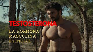 TESTOSTERONA  LA HORMONA ESENCIAL EN EL HOMBRE  DOCUMENTAL EN ESPAÑOL [upl. by Irrabaj122]