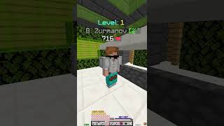 Im an expert at lowballing in Hypixel Skyblock hypixel hypixelskyblock minecraft [upl. by Llemrej]