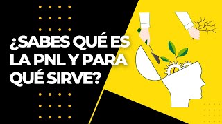 ¿Qué es la PNL  programación neurolingüística y para qué SIRVE [upl. by Comethuauc]