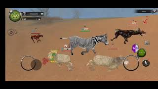 wild animals online script [upl. by Wilder760]