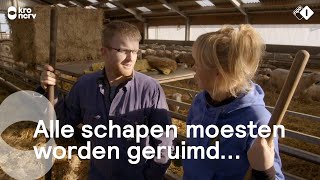 Op bezoek bij Boer Jan en Rianne op Texel  Onze boerderij [upl. by Celestyn]