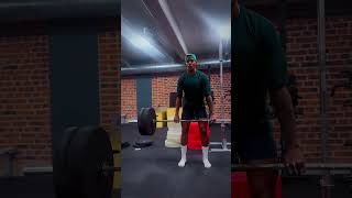 Posterior Chainbackworkout backworkout backpainfitness [upl. by Emmye402]