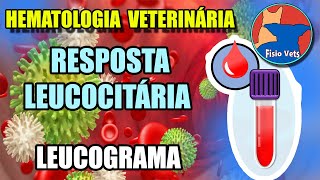 Interpretação do hemograma  Leucograma Parte 1  Medicina veterinária [upl. by Agretha]