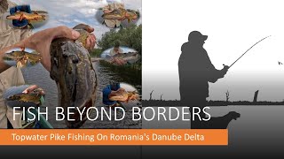 Topwater Pike Fishing on Romanias Danube DeltaFish Beyond Borders [upl. by Dnomrej337]